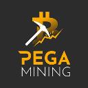 PEGA Mining Ltd logo